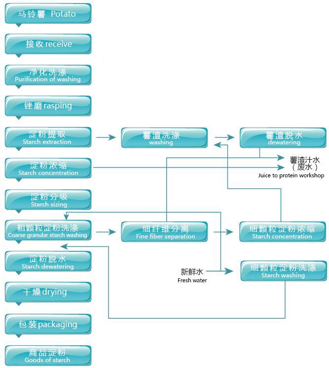 馬鈴薯淀粉加工工藝